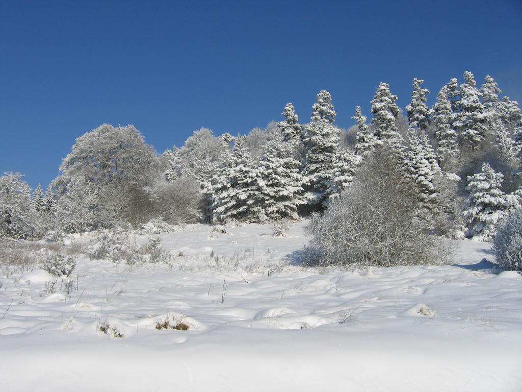 La Ferme Des Genets Bed & Breakfast Medeyrolles Екстериор снимка